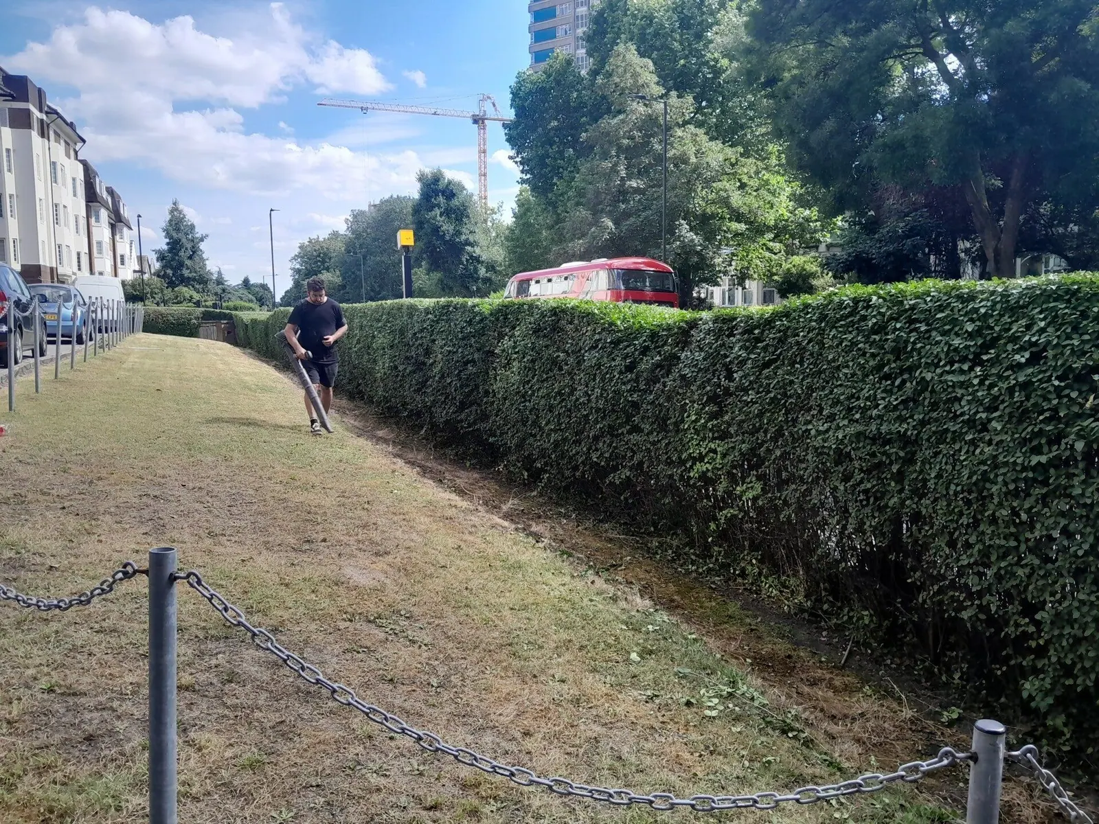 Hedge and grass verge maintained outside a residential block